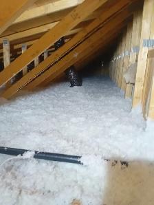 SPRAY FOAM - Photo 4