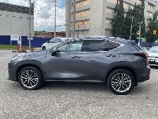 2022 Lexus NX 350h Ultra Luxury - LEATHER! 360 CAM! BSM! PANO RO - Photo 4