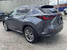 2022 Lexus NX 350h Ultra Luxury - LEATHER! 360 CAM! BSM! PANO RO - Photo 5
