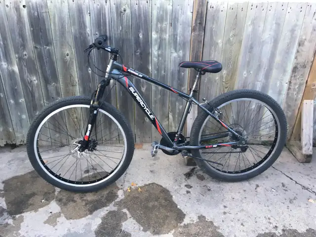 Mountain bike