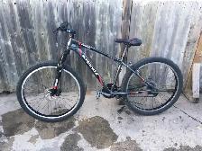 Mountain bike