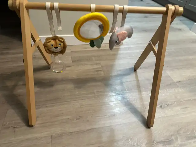 Baby gym