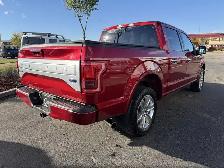 2017 Ford F-150 Platinum - Photo 5