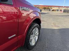 2017 Ford F-150 Platinum - Photo 11