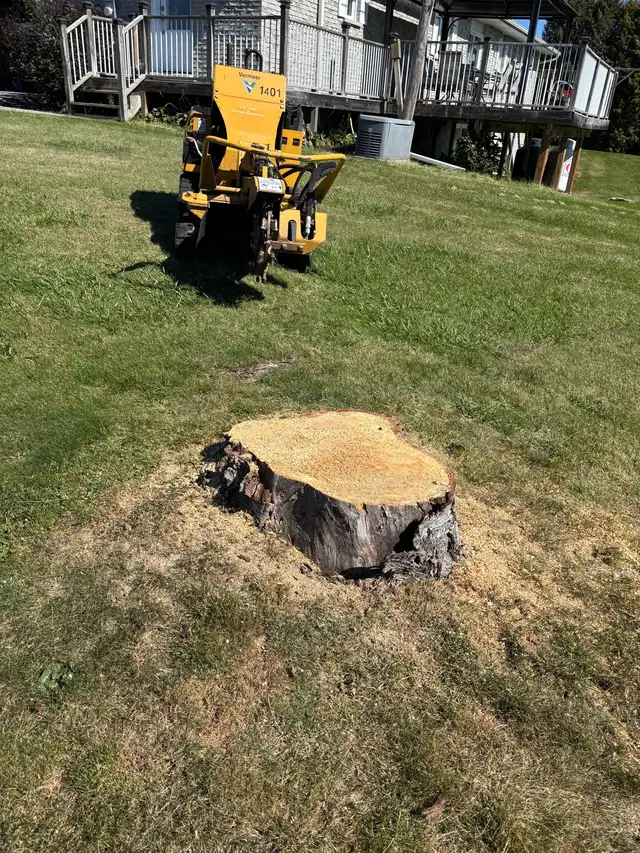 LA Tree & Stump Removal