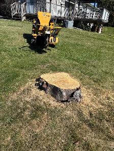 LA Tree & Stump Removal
