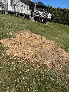 LA Tree & Stump Removal - Photo 2