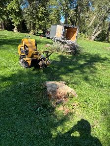 LA Tree & Stump Removal - Photo 3