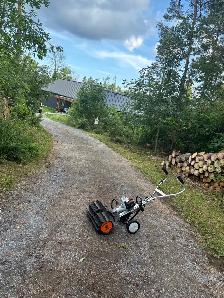 LA Tree & Stump Removal - Photo 7