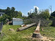 LA Tree & Stump Removal - Photo 9