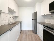 1 Bedroom Apartment for Rent - 1549-1566 Trossacks Avenue - Photo 3