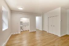 one-bedroom apartment near McGill - ID 1051 - Photo 3