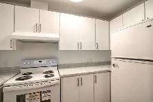 one-bedroom apartment near McGill - ID 1051 - Photo 4