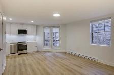 two bedroom apartment  near McGill - ID 3650
