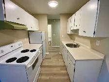1 Bedroom For Rent  in Squamish - HEAT & WATER INCLUDED - $1695