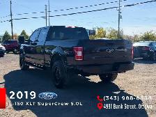 2019 Ford F-150 XLT - Photo 4