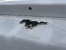 2023 Ford Mustang Mach-E Select - Photo 6