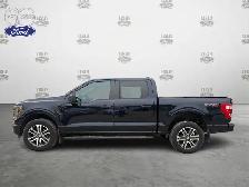 2023 Ford F-150 STX 4WD SuperCrew 5.5' Box - Photo 3