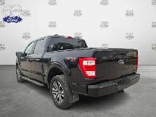 2023 Ford F-150 STX 4WD SuperCrew 5.5' Box - Photo 4