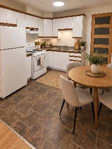 Bachelor/Studio à louer - Rosemont- La Petite -Patrie- 950$/mois - Photo 2