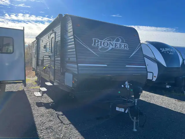 2018 Pioneer 310DS