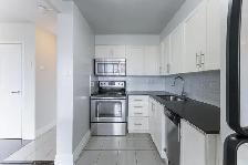 1 Bedroom Apartment for Rent - 155 Wellesley Street East - Photo 15