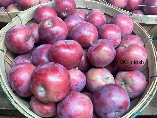 pommes