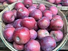 pommes