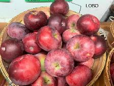 pommes - Photo 2