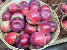pommes - Photo 3