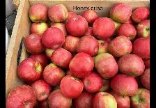 pommes - Photo 4