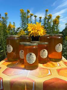 Honey - Local and fresh