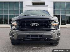 2024 Ford F-150 XLT - Photo 2