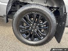 2024 Ford F-150 XLT - Photo 7