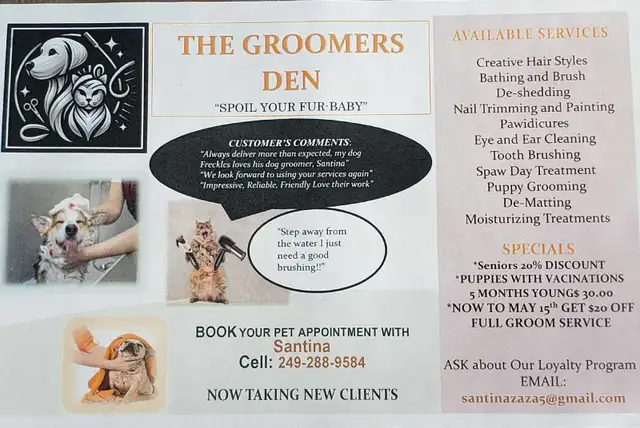 Professional Dog and Cat Grooming