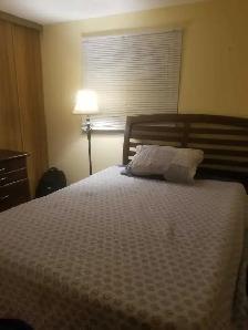 $800 Bedroom for Rent – All-Included   Outdoor Parking - Photo 3
