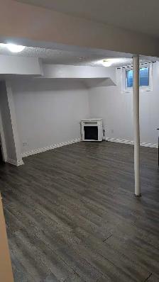 Renovated One-Bedroom Basement Apartment - Near Woodside Mall