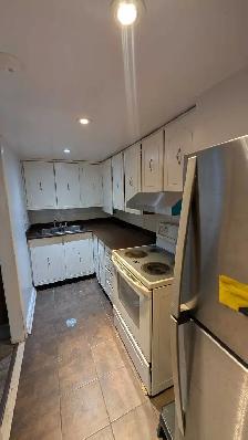 Renovated One-Bedroom Basement Apartment - Near Woodside Mall - Photo 2