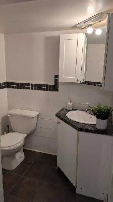 Renovated One-Bedroom Basement Apartment - Near Woodside Mall - Photo 3