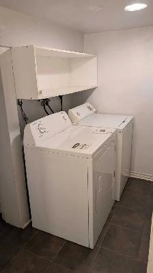 Renovated One-Bedroom Basement Apartment - Near Woodside Mall - Photo 4