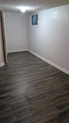 Renovated One-Bedroom Basement Apartment - Near Woodside Mall - Photo 5