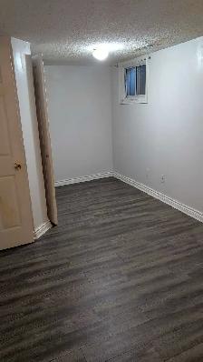Renovated One-Bedroom Basement Apartment - Near Woodside Mall - Photo 6