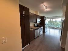 $ 1650 - 2 Bed, 1 Bath Condo in Brentwood | UNDERGROUND Parking - Photo 14