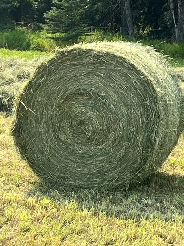 Round Mixed Hay