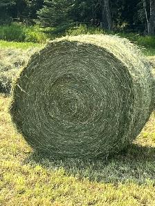 Round Mixed Hay