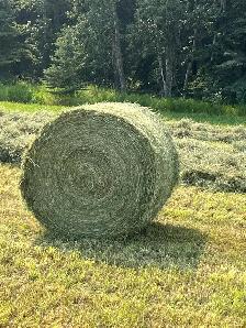 Round Mixed Hay - Photo 2