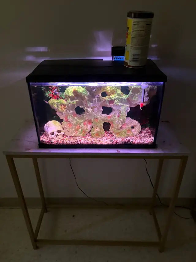 fish tank with all the supplies including fish for