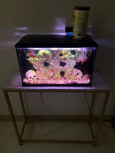 fish tank with all the supplies including fish for