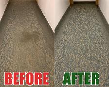 Deep Shampoo Carpet Cleaning - 647-928-4296 - Photo 4