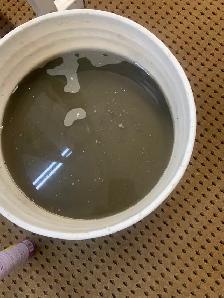 Deep Shampoo Carpet Cleaning - 647-928-4296 - Photo 6